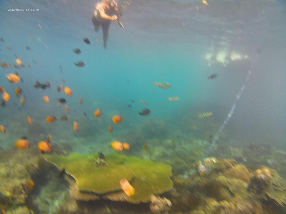 Griya Nusa Batununggul 外观 照片
